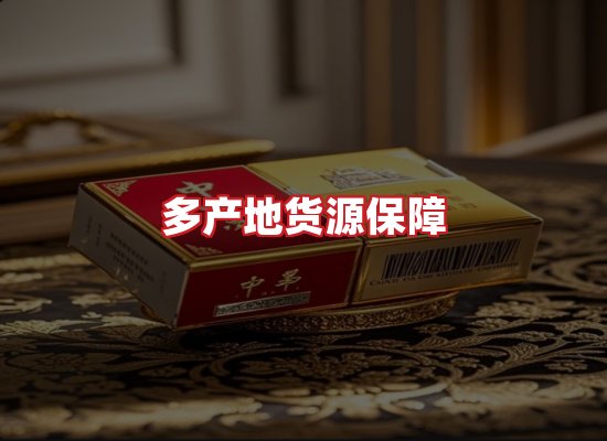专业团队